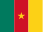 Cameroon country flag