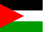 Palestine country flag