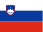 Slovenia country flag