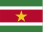 Suriname country flag