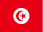 Tunisia country flag