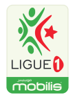 Algeria country flag