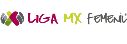 Mexico country flag
