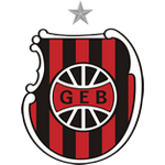 Brasil DE Pelotas Team Logo
