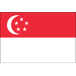 Singapore Team Logo