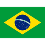 Brazil W Team Logo
