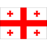 Georgia W Team Logo