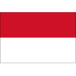Indonesia U19 Team Logo