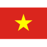 Vietnam U19 Team Logo
