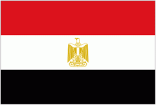 Egypt W Team Logo