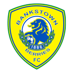 Canterbury Bankstown Team Logo