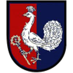 Petřvald na Moravě Team Logo