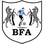 Black Lions