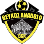 Beykoz Anadolu logo